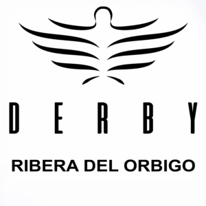INICIO SUBASTAS FINALISTAS DERBY RIBERA DEL ÓRBIGO 2025