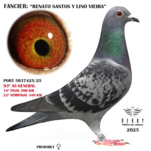 LOTE 15.- PORT 5037425/25<BR/><BR/> RENATO SANTOS & LINO VIEIRA<BR/><BR/><STRONG><p style="color:#FF0000";>18º FINAL Y 22º SEMIFINAL</STRONG>