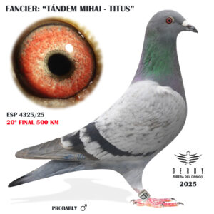 LOTE 10.- ESP 4325/25 <BR/><BR/> TANDEM MIHAI - TITUS <BR/>(2 FINALISTAS Y 3 EXTRA FINAL!!!)<BR/><BR/><STRONG><p style="color:#FF0000";>20º FINAL MONESTERIO<BR/><BR/><STRONG><p style="color:#b0d12a";><U>PADRE</u>:1º AS FONDO 23<BR/><BR/><U>MADRE</u>:1º AS PICHÓN CLUB 19