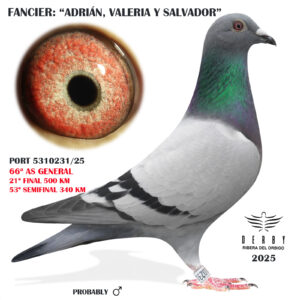 LOTE 14.- PORT 5310931/25<BR/><BR/> ADRIÁN,VALERIA Y SALVADOR<BR/><BR/><STRONG><p style="color:#FF0000";>21º FINAL Y 66º AS PALOMA GENERAL</STRONG>