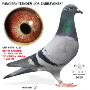 LOTE 07.- ESP 146614/25 TANDEM LOS CARBAYONES