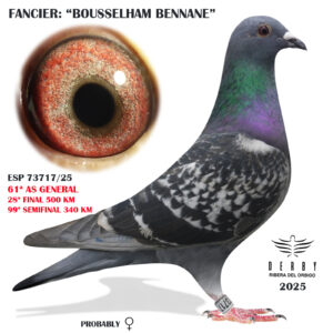 LOTE 12.- ESP 73717/25<BR/><BR/>BOUSSELHAM BENANNE<BR/><BR/><STRONG><p style="color:#FF0000";>28º FINAL Y 61º AS PALOMA GENERAL</STRONG>