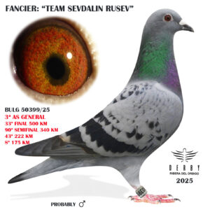 LOTE 05.- BULG 50399/25 <BR/><BR/> TEAM SEVDALIN RUSEV<BR/><BR/><STRONG><p style="color:#FF0000";>33º FINAL MONESTERIO Y 3º AS PALOMA GENERAL<BR/><BR/><STRONG><p style="color:#b0d12a";><U>PADRE</U>: HERCULES (EXTRAORDINARIO VOLADOR Y REPRODUCTOR) MEDIO HERMANO 2º FINAL Y 2º AS DERBY SOFIA 23 , HERMANO PURO 9º FINAL Y 5º AS EUROMASTER 22