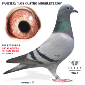 LOTE 09.-    ESP 125334/25 <BR/><BR/>   LOS CUATRO MOSQUETEROS<BR/><BR/><STRONG><p style="color:#FF0000";>36º FINAL MONESTERIO Y 18º AS PALOMA GENERAL<BR/><BR/><STRONG><p style="color:#b0d12a";><U>PADRE</U>: LUDO CLAESSENS x LEO HEREMANS<BR/><BR/><U>MADRE</U>: PALOMAR PEDRO JOSÉ(ALGARVE-POR) x  MADRE 6º AS DERBY SEVILLA