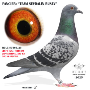 LOTE 10.- BG 50386/25<BR/><BR/> TEAM SEVDALIN RUSEV<BR/><BR/><STRONG><p style="color:#FF0000";>36º FINAL, 20º SEMIFINAL Y 50º AS PALOMA GENERAL</STRONG>