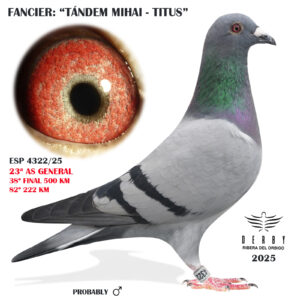 LOTE 08.- ESP 4322 /25<BR/><BR/>TANDEM MIHAI & TITUS<BR/><BR/><STRONG><p style="color:#FF0000";>38º FINAL MONESTERIO y 23º AS PALOMA GENERAL</STRONG>