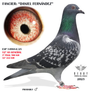 LOTE 19.-    ESP 149684/25   <BR/><BR/> DANIEL FERNÁNDEZ VEGA<BR/><BR/><STRONG><p style="color:#FF0000";>3º FINAL MONESTERIO Y 12º AS PALOMA GENERAL<BR/><BR/><STRONG><p style="color:#b0d12a";><U>PADRE</U>: 185º GREAT ALGARVE 23 (ANDREW MORAN LOFT)<BR/><BR/><U>MADRE</U>:20º AS ABSOLUTA ASTURIAS (LINEA PANDIELLA) HERMANA 3º EXTRA FINAL DERBY MARISMAS (600 KM)