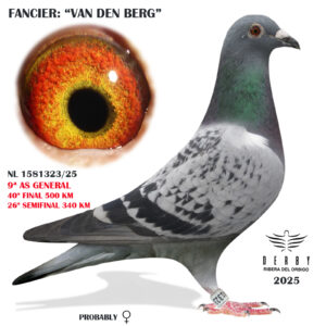 LOTE 07.- NL 1581323 /25<BR/><BR/>VAN DEN BERG<BR/><BR/><STRONG><p style="color:#FF0000";>40º FINAL MONESTERIO y 9º AS PALOMA GENERAL</STRONG>