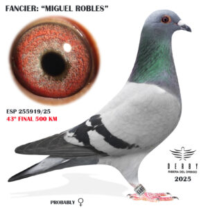 LOTE 05.- ESP 255919/25<BR/><BR/>MIGUEL ROBLES<BR/><BR/><STRONG><p style="color:#FF0000";>43º FINAL MONESTERIO 500 KM</STRONG>