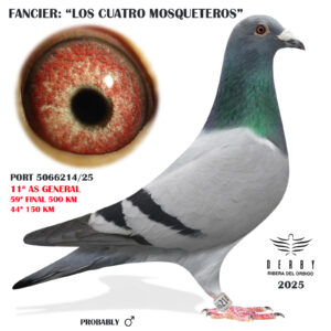 LOTE 02.- PORT 5066214/25<BR/><BR/>LOS CUATRO MOSQUETEROS<BR/><BR/><STRONG><p style="color:#FF0000";>59º FINAL Y 11º AS PALOMA GENERAL</STRONG>