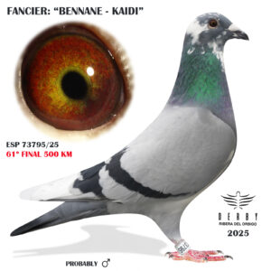 LOTE 01.- ESP 73795/25 BENNANE & KAIDI