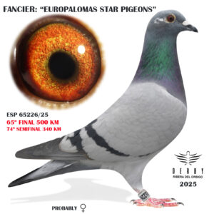 LOTE 01.- ESP 65226/25<BR/><BR/>EUROPALOMAS STAR PIGEONS<BR/><BR/><STRONG><p style="color:#FF0000";>65º FINAL MONESTERIO 500 KM</STRONG>