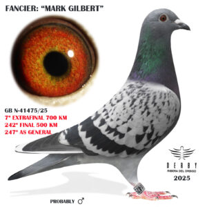 LOTE 22.-  7º EXTRA FINAL 700 KM<BR/> <BR/> GB -N - 41745 <BR/><BR/>MARK GILBERT<BR/><BR/><STRONG><p style="color:#FF0000";><U>PADRE:</U>  <BR/><BR/><U>MADRE:</U>  </STRONG><BR/><BR/><STRONG><p style="color:#b0d12a";><BR/><BR/></STRONG>